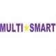 Logo Multismart.nl